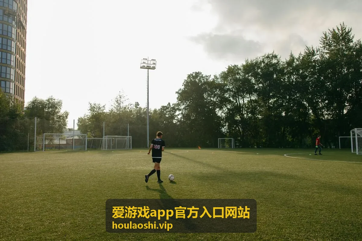 爱游戏app官方入口网站 策略经营应用封面