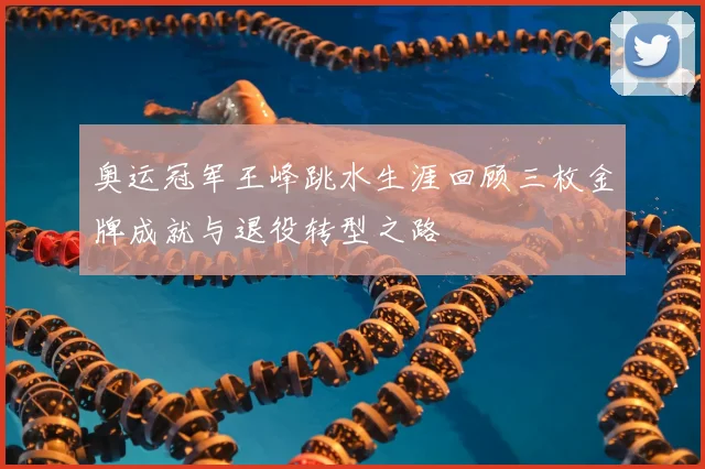 奥运冠军王峰跳水生涯回顾三枚金牌成就与退役转型之路