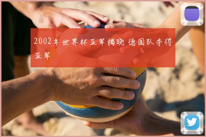 2002年世界杯亚军揭晓 德国队夺得亚军