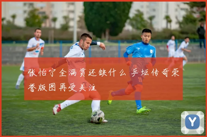 张怡宁全满贯还缺什么 乒坛传奇荣誉版图再受关注