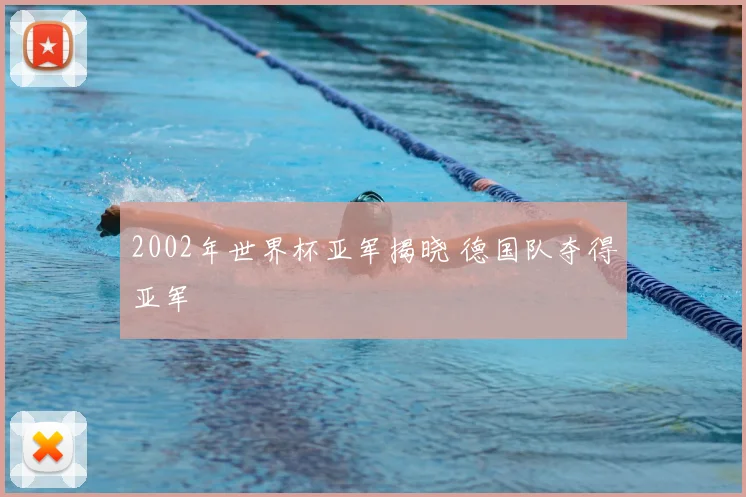 2002年世界杯亚军揭晓 德国队夺得亚军