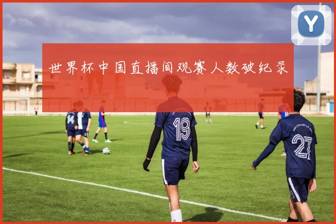 世界杯中国直播间观赛人数破纪录