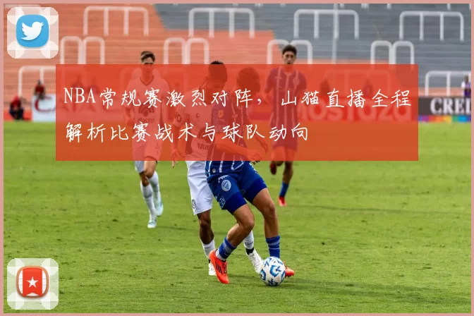 NBA常规赛激烈对阵，山猫直播全程解析比赛战术与球队动向