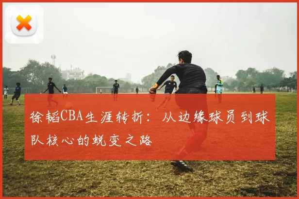 徐韬CBA生涯转折：从边缘球员到球队核心的蜕变之路